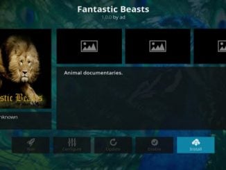 Fantastic Beasts Addon Guide