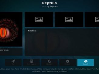 Reptilia Addon Guide - Kodi Reviews