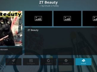 ZT Beauty Addon Guide - Kodi Reviews