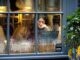 Woman working on a laptop at a table inside a café, seen through the front window