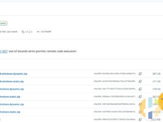 GitHub release page for Google Brotli v1.2.1 marked Latest, with a Security section listing CVE-2026-111497: out-of-bounds write permits remote code execution