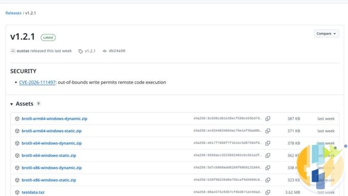 GitHub release page for Google Brotli v1.2.1 marked Latest, with a Security section listing CVE-2026-111497: out-of-bounds write permits remote code execution